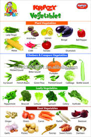 Krazy Vegetables Chart Buy Vegetable Learning Chart For Kids Product On Alibaba Com