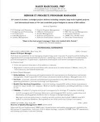 It Project Manager Free Resume Samples Blue Sky Resumes Cv