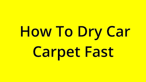 solved how to dry car carpet fast