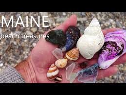 So Much Sea Glass In Maine Part 1 Of