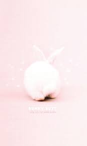 pink bunny wallpapers top free pink