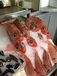 #noryangjin #fishmarket #seoul #southkorea #noryangjinfishmarket #seoulmarket #asianmarket #wetmarket. Sebastes Capensis Wikipedia