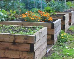 how to build a raised garden bed easy