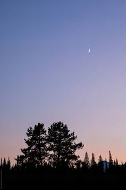 Download this free picture about mountains moon sunset from pixabay's vast library of. Small Crescent Moon Over Mountains And Trees At Sunset By Simone Anne