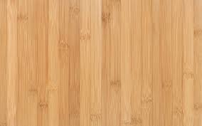 bamboo vs hardwood 5 differences