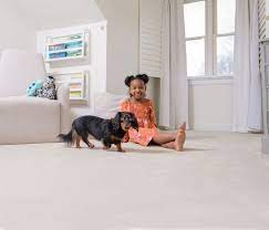 carpet cleaning fresno county ca tri