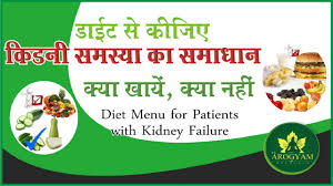 Bk Arogyam Diet Chart For Kidney Patient What To Eat What