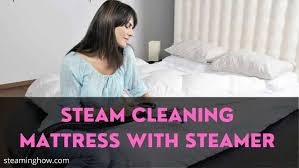 Garment Steamer To Clean A Mattress