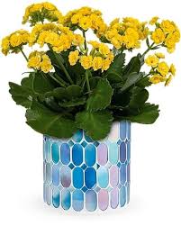 Modern Flowers Delivery Woodland Hills