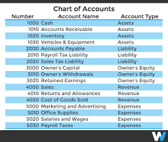 What Should You Include On Your Chart Of Accounts Workful
