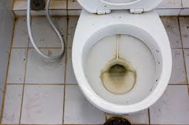 the causes of toilet bowl stains