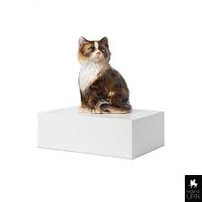 Dog and cat urns for ashes. Handmade Pet Urn Persian Cat Legendurn Uk Funeral Urns Cremation Ashes Jewellery And Pet Urns For Sale