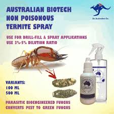 termite control diy termite treatment