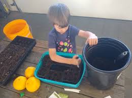 Start Vegetable Seeds In Compost