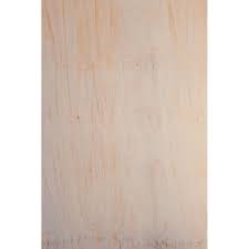 ipl flooring plywood t g 22mm untreated
