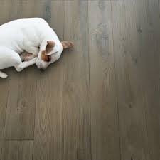best flooring for dogs things to keep