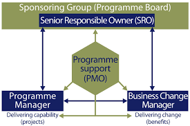 Role Of The Programme And Project Management Offices