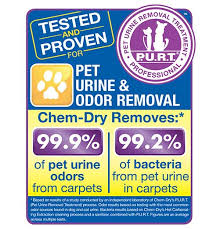 pet urine odor removal chemdry