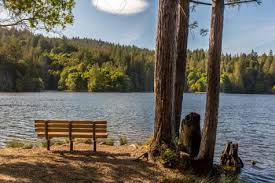 Is santa cruz lake open. Loch Lomond Santa Cruz S Awesome Hidden Lake Visit Santa Cruz County