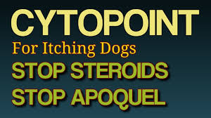 Question Is Cytopoint A Steroid 2019