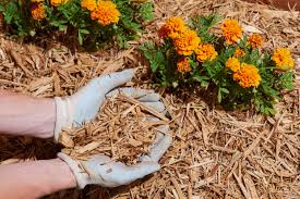 best mulch for your flowerbeds