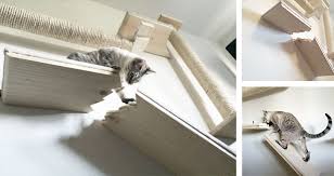 Broken Cat Shelf Catastrophic Creations