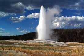 Image result for yellowstone