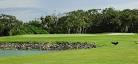 Buffalo Creek Golf Course | Florida golf course