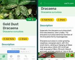 Overall, three of the four apps were fairly. 9 Best Plant Identification App Choices Of 2020 Tested Reviewed