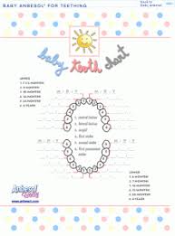 Free Printable Baby Teeth Chart Omg Just What I Was