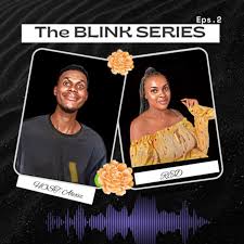 The Blink Series
