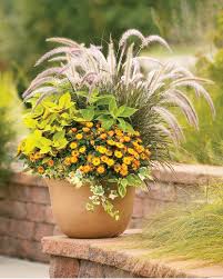 How To Use Grasses In Containers