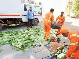 700kg of paan seized in dubai crime