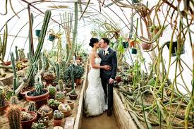 moorten botanical garden wedding palm