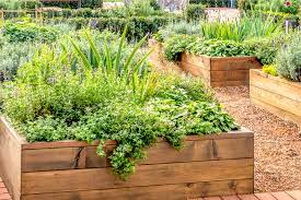 How To Create Raised Beds With Wood
