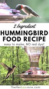 homemade hummingbird food recipe easy diy