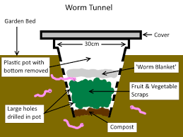 worm tunnel vermicomposting system