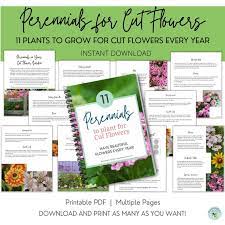 Buy Perennials For Cut Flower Ebook Cut