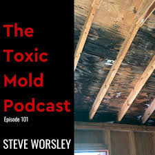 Toxic Mold Podcast Podcast Listen