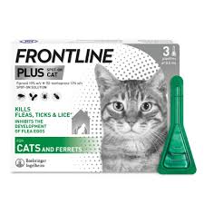 frontline plus cat flea tick