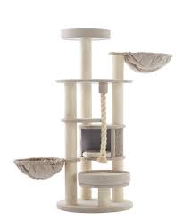 In fact, the title for the longest cat in the 2010 guinness world records was held by a cat of this breed. Maine Coon Fida Cat Tree Lowest Prices Guaranteed Free Delivery