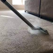 steam cleaners experts by auckland