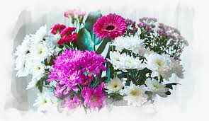 We did not find results for: Mother S Day Flowers How To Keep Flowers Fresh Tesco Groceries