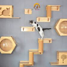 Wall Mounted Cat Climbing Frame Cat