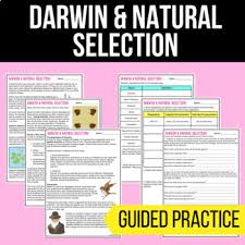 The birds eat during the day and seem to be eating onlythe diurnal worms. Darwin Natural Selection Evolution Guided Reading Worksheet