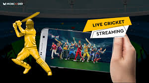 Order live feeder crickets online. Watch Out Top Live Cricket Streaming Apps In 2021 Updated