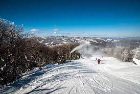 ski from your asheville al cabin