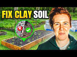 Fix Clay Soil For A Vegetable Garden