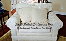 treat and clean upholstery for mold and