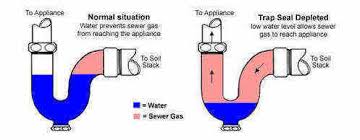 drain smell sewage stink smelly sink